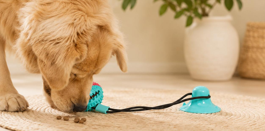 Jouet Interactif Zen Zénimo — Balle Silicone avec Ventouse pour Chiens