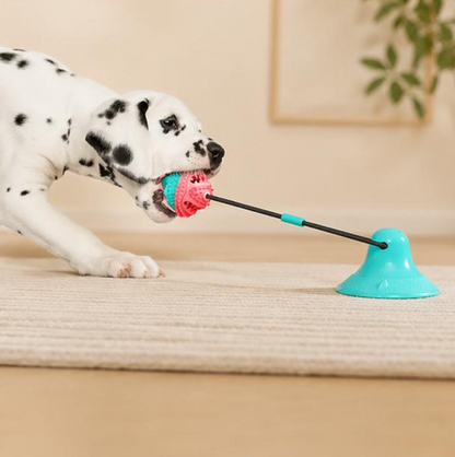 Jouet Interactif Zen Zénimo — Balle Silicone avec Ventouse pour Chiens