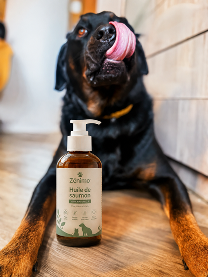 Huile de Saumon sauvage Norvégien Zénimo — Oméga 3 & 6 pour Chien et Chat | 1000ml